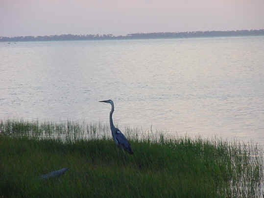 Port St. Joe